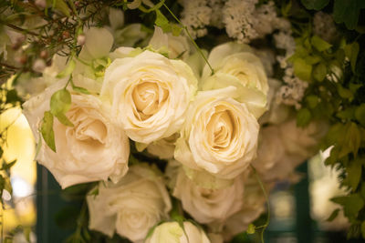 Close-up of rose bouquet