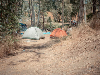 Tent in forest