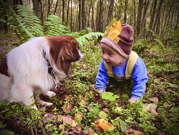 A dog is a friend of a man and a small child, a look game in the forest