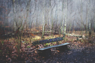 Scenic view of trees against sky