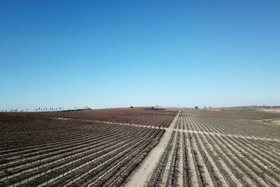 Scenic view of agricultural field against clear blue sky