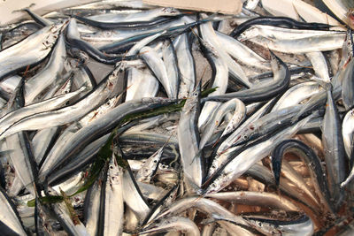 Full frame shot of fish for sale at market stall