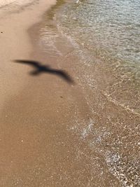 High angle view of shadow on beach