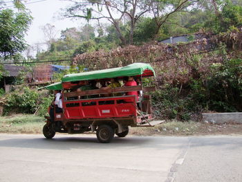 Vintage car on tree