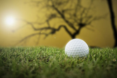 Close-up of ball on field