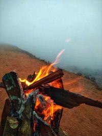 Bonfire on wooden log