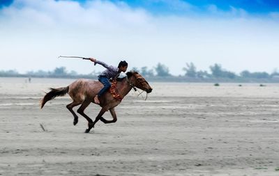 Horse running on beach