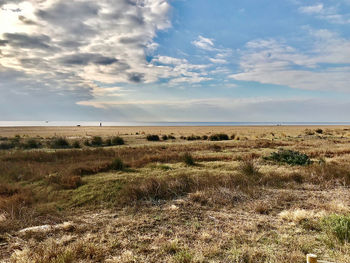 Scenic view of field against sky