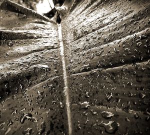 Full frame shot of raindrops on window