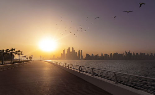 Birds flying over city buildings during sunset