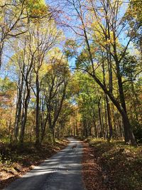 Road amidst trees in forest during autumn