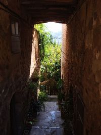 Plants and trees seen through archway