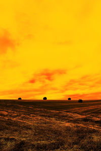 Scenic view of field against sky during sunset