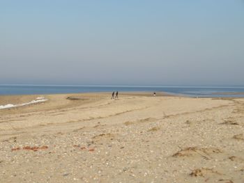 Scenic view of beach against clear sky