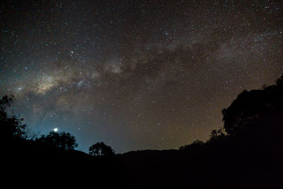 Low angle view of silhouette trees against sky at night