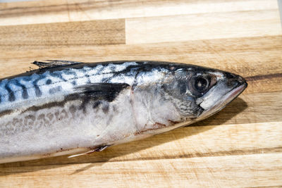 Close-up of fish on cutting board