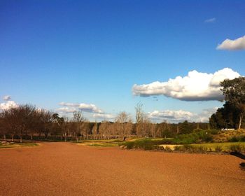 Scenic view of landscape against blue sky