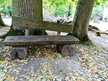 Sunlight falling on bench in park