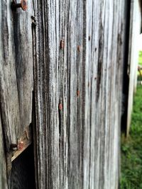 Close-up of wooden plank