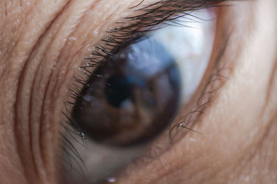 Close-up of woman eye