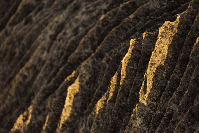 Close-up of rock formation outdoors