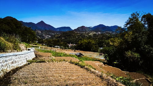 Scenic view of field and mountains against blue sky