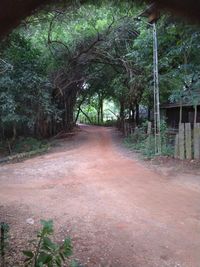 Empty road amidst trees in forest