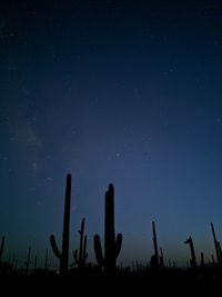 Low angle view of silhouette cactus against sky at night