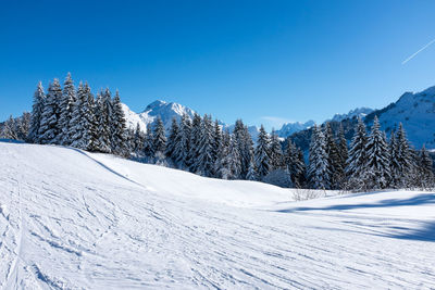 Scenic view of snow covered field