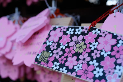 Close-up of pink flowers