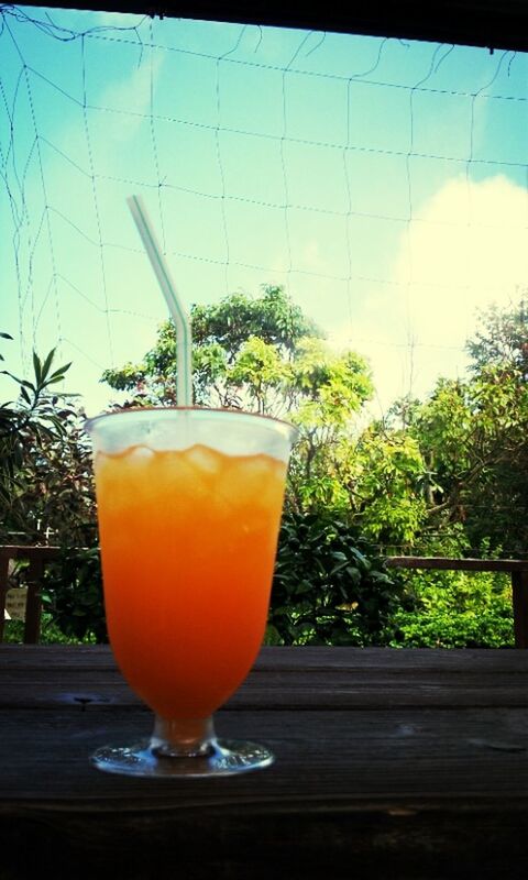 drink, food and drink, refreshment, freshness, table, drinking glass, glass - material, still life, transparent, indoors, drinking straw, close-up, alcohol, glass, juice, healthy eating, sunlight, cocktail, orange color, no people