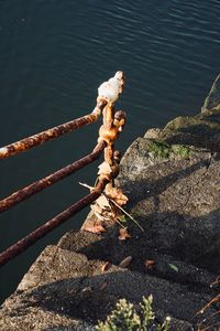Close-up of rope on rock by lake