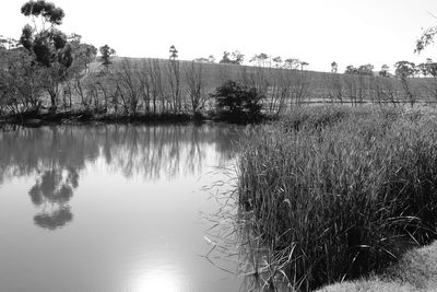 Scenic view of lake against clear sky