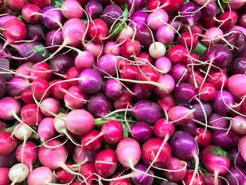 Full frame shot of radish pile for sale in market