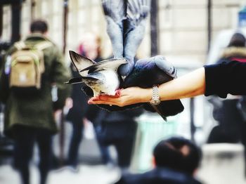 Midsection of man holding bird