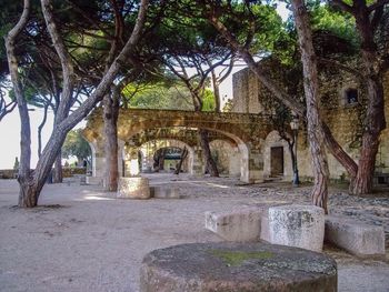 Trees in front of historic building