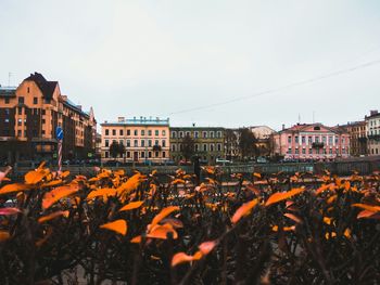 Panoramic autumn view in city