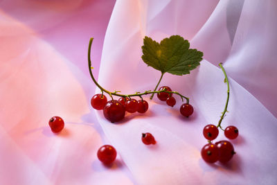 Close-up of strawberry growing on table