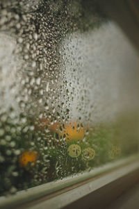 Close-up of raindrops on glass window