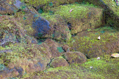 High angle view of rocks on land