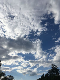 Low angle view of trees against sky