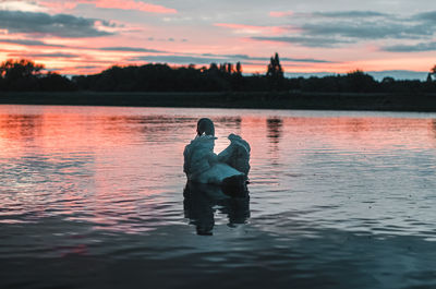 Swan in lake against sky during sunset