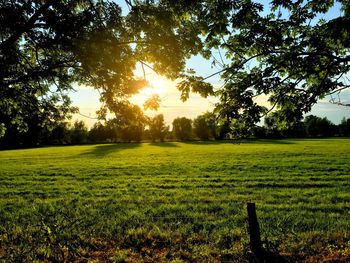 Scenic view of grassy field against sky