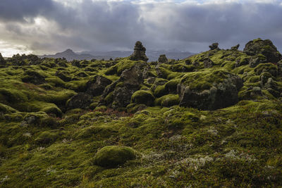 Scenic view of moss covered rocks on landscape against cloudy sky