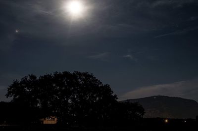 Low angle view of silhouette trees against sky at night