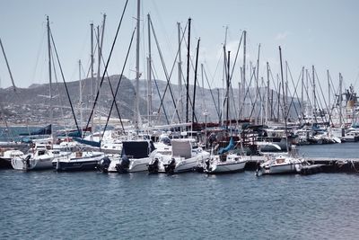 Boats in harbor