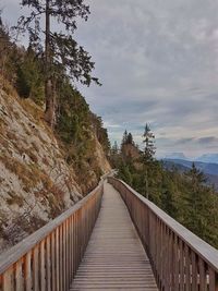 Footbridge amidst trees against sky