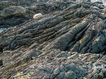 Full frame shot of rock formation on land