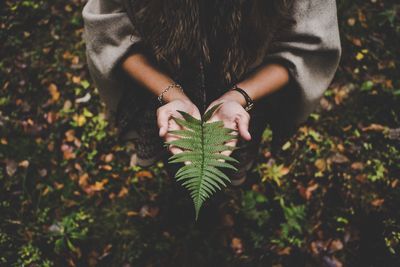 High angle view of woman holding fern leaves while standing on field