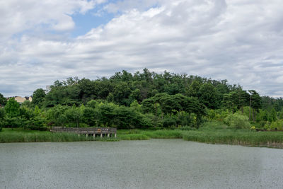 Scenic view of trees on landscape against sky